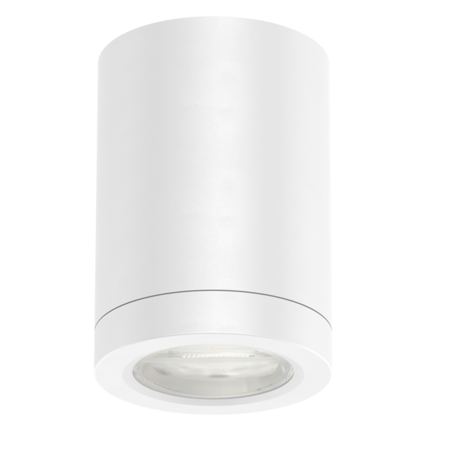 Foto Arcadia L- Downlight 10W
