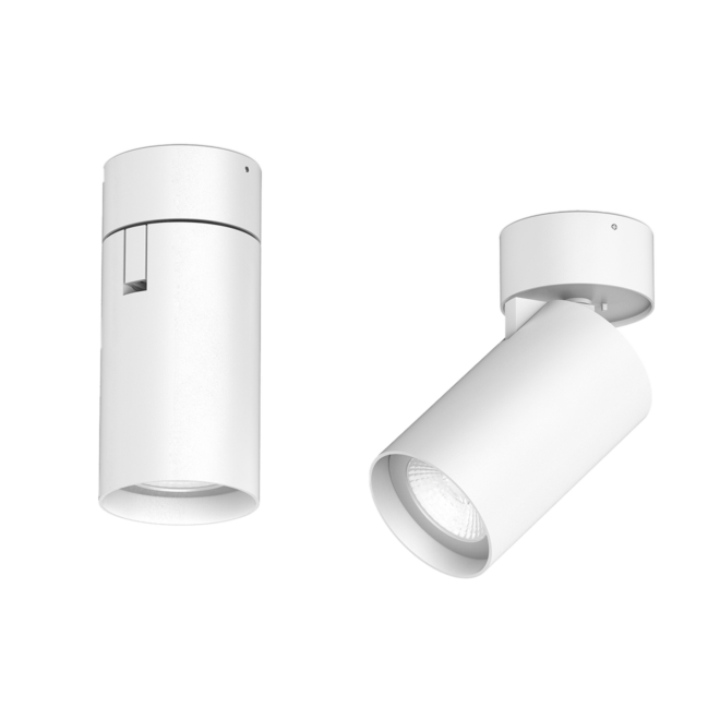 Foto Arcadia R- Corp de iluminat aparent orientabil