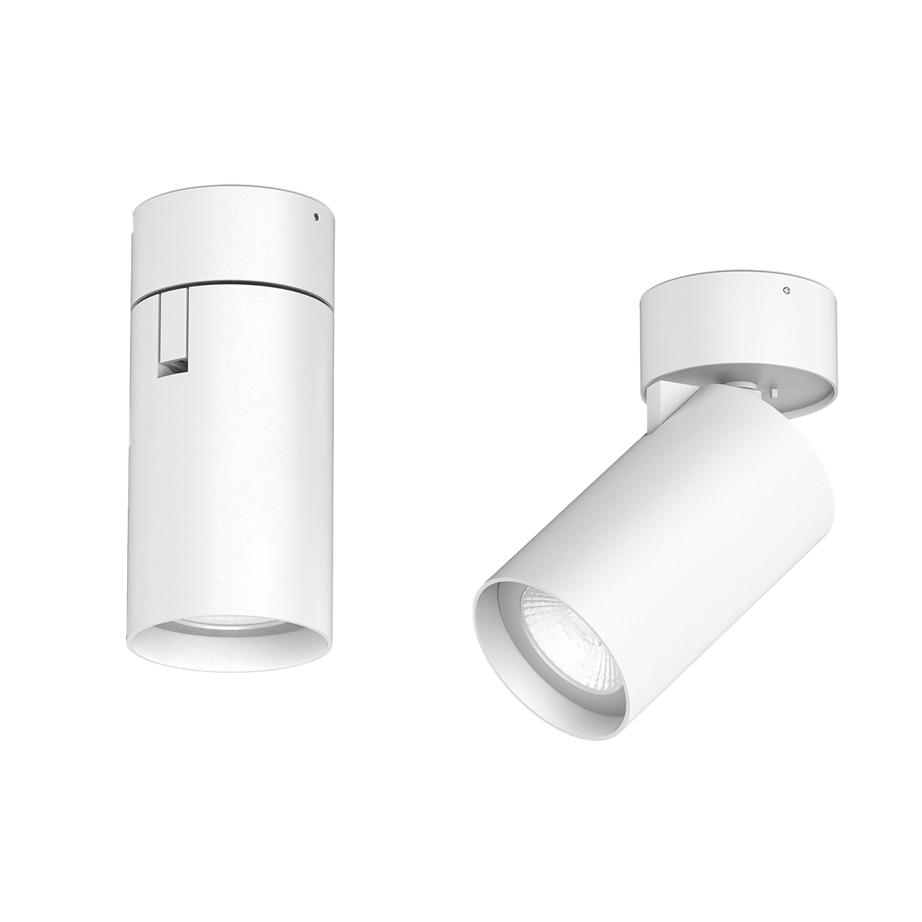 Foto Arcadia R- Tiltable Downlight