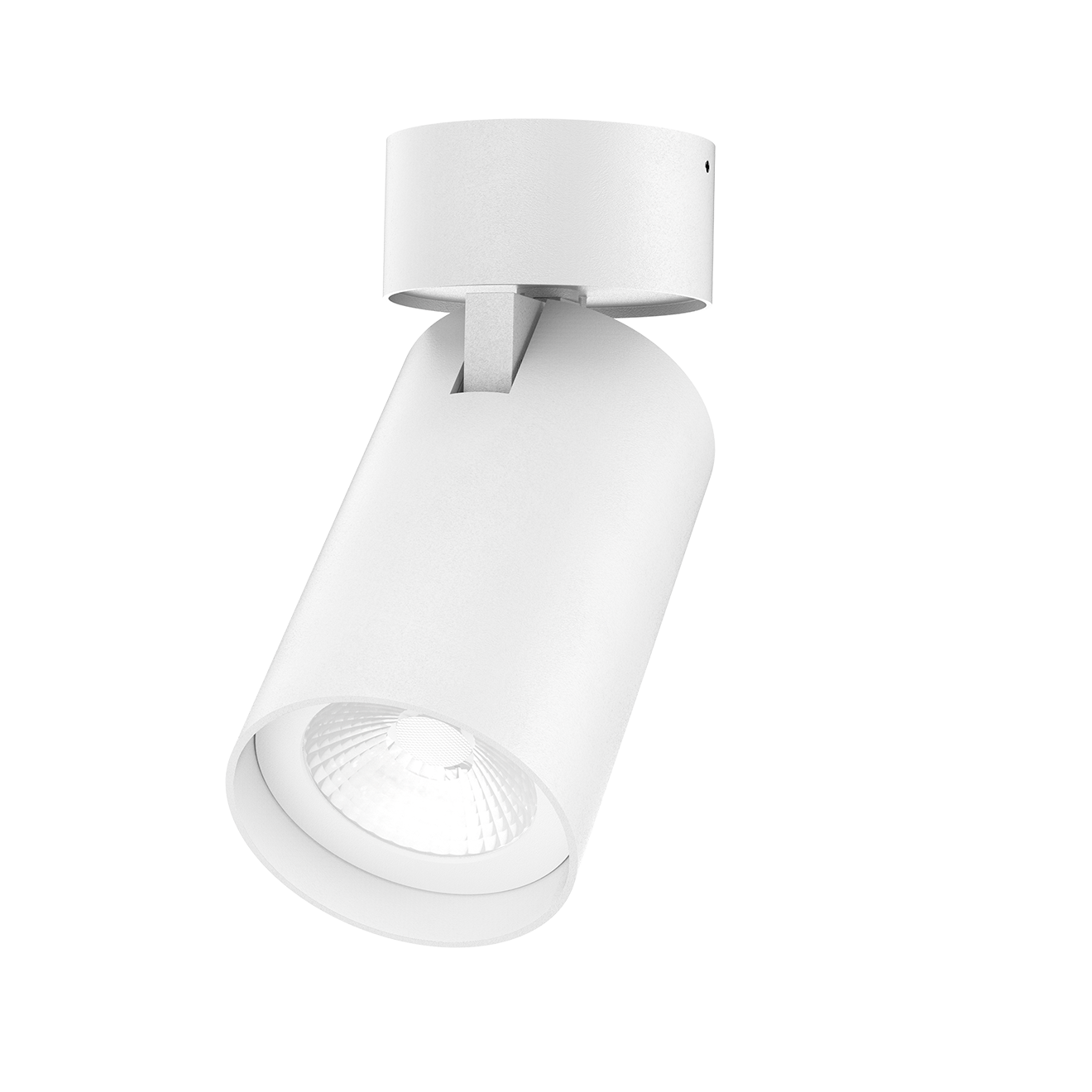 Foto Arcadia R- Tiltable Downlight